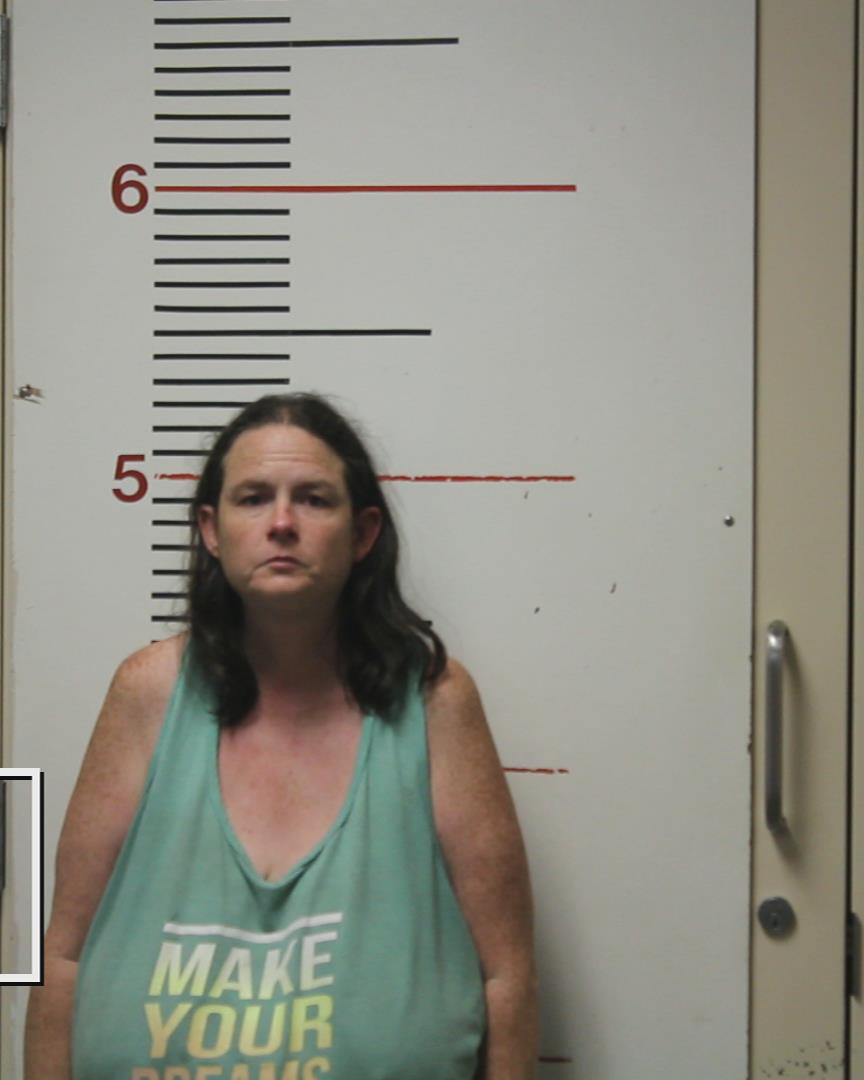 BURNETT, SHANTI JO booking photo