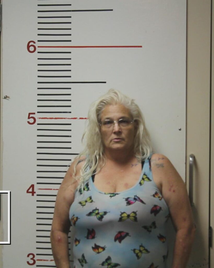 STEWARD, LISA JOI booking photo