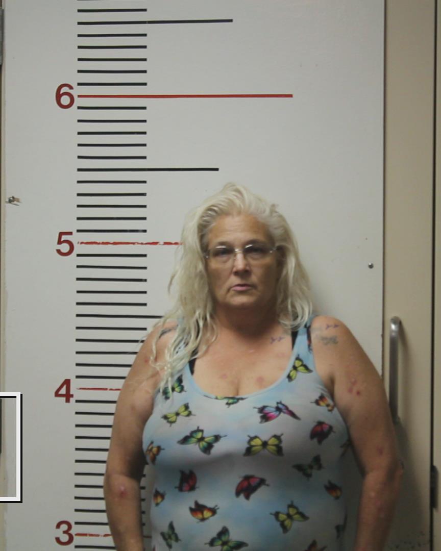 STEWARD, LISA JOI booking photo