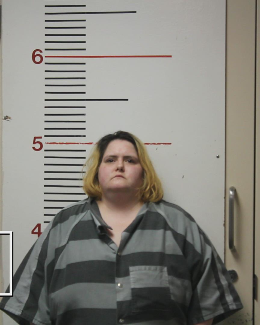 CORSON, ANEITA CHRISTINE booking photo