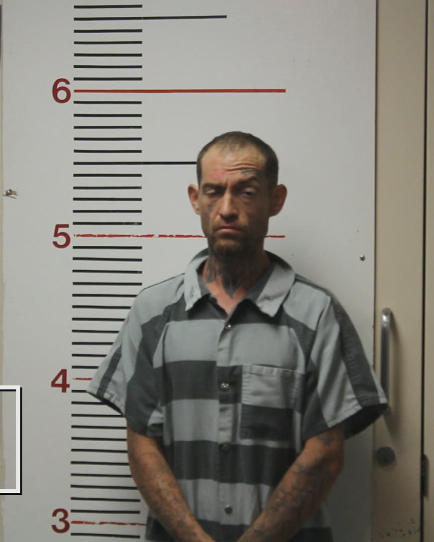 CARNLEY, AUSTEN HEATH booking photo