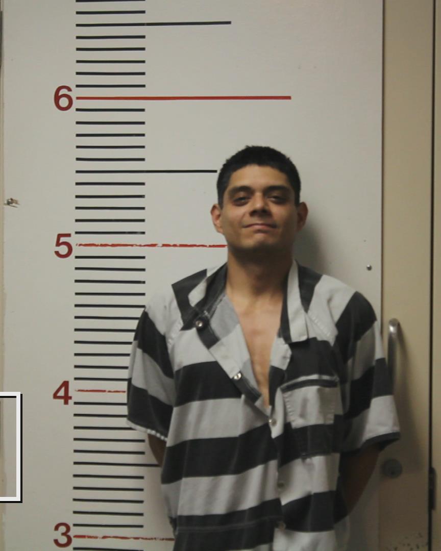 Hernandez, Hector, Jr. booking photo