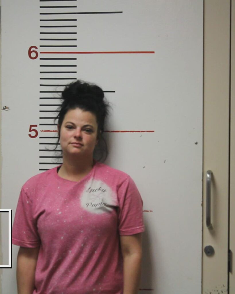 LIVELY-CLARK, HAYLEI NICOLE booking photo