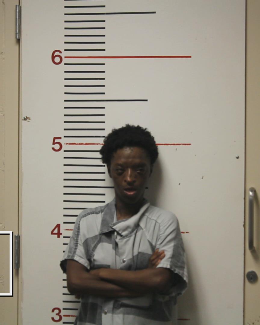 WARE, CATHERINE LEE booking photo