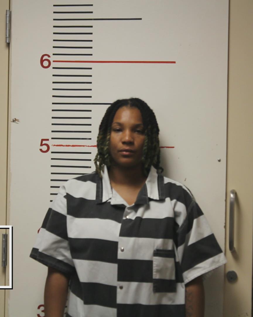 HAWKINS, LESLIE JANAE booking photo