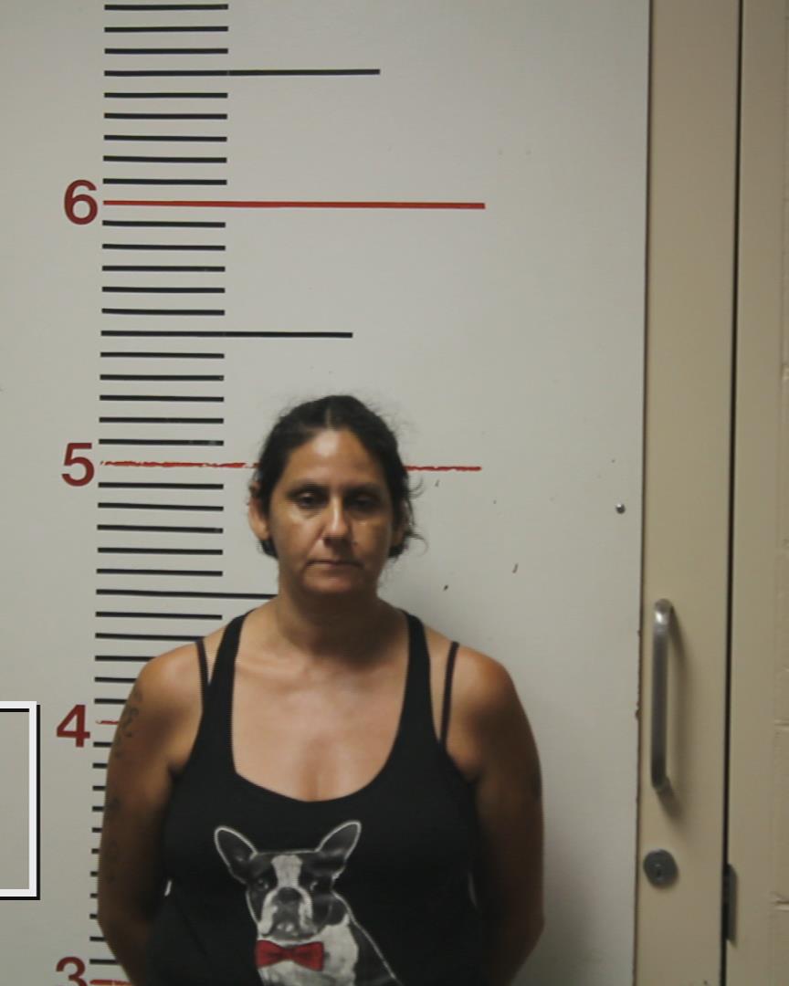 TREVINO-VELA, VICKIE booking photo