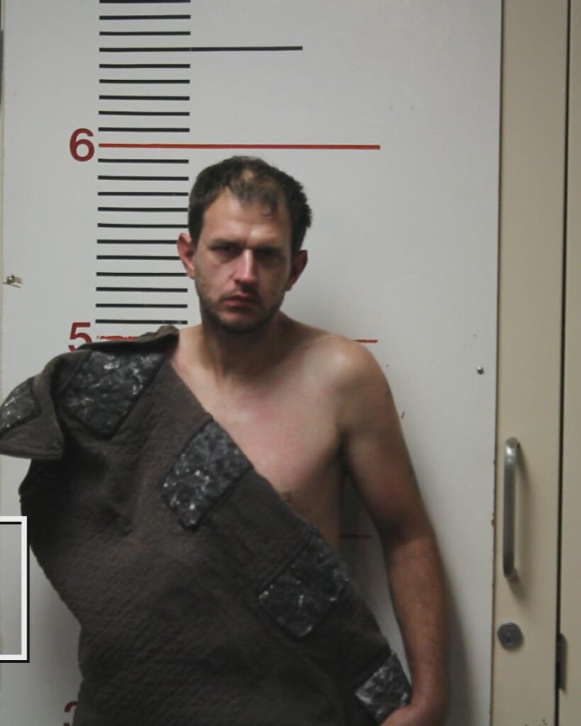 JONES, BRENNON LEE booking photo