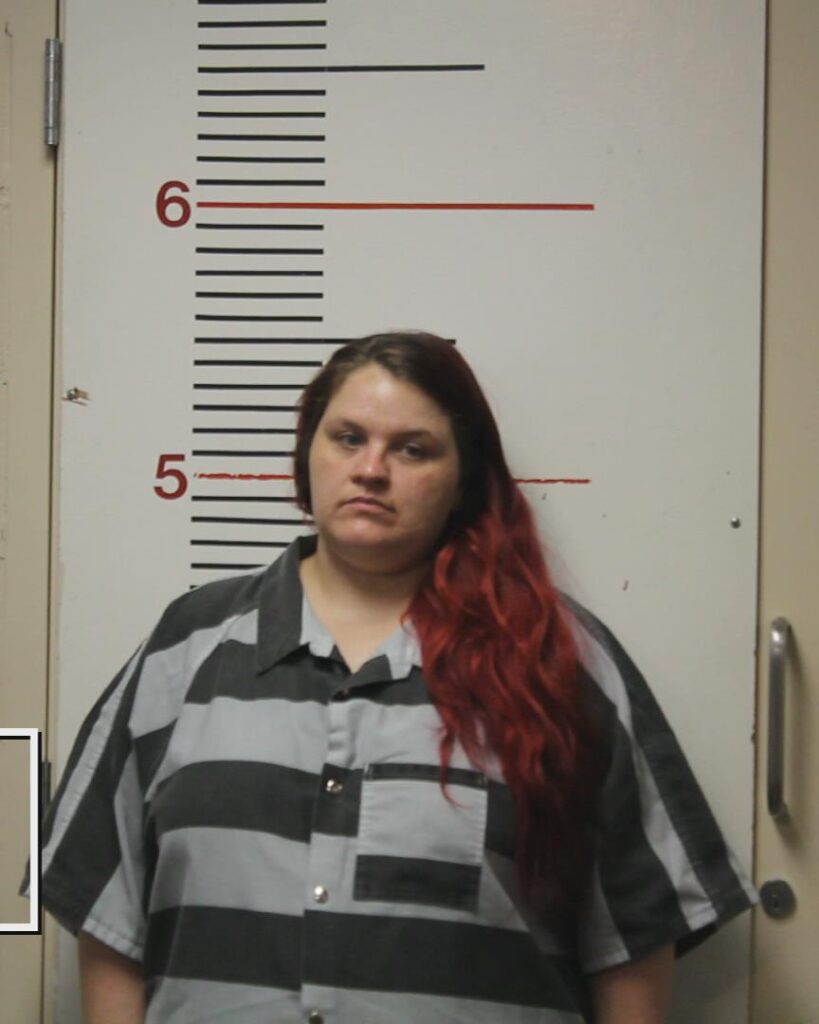 GILL, LESLEE NICHOLE booking photo