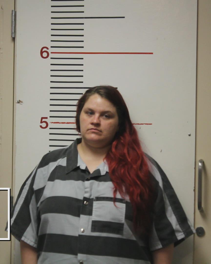 GILL, LESLEE NICHOLE booking photo