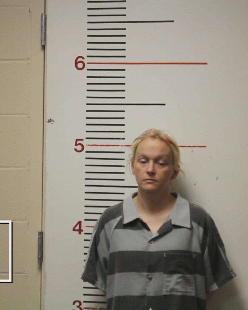 BURNS, SHONDA CHRISTINA booking photo