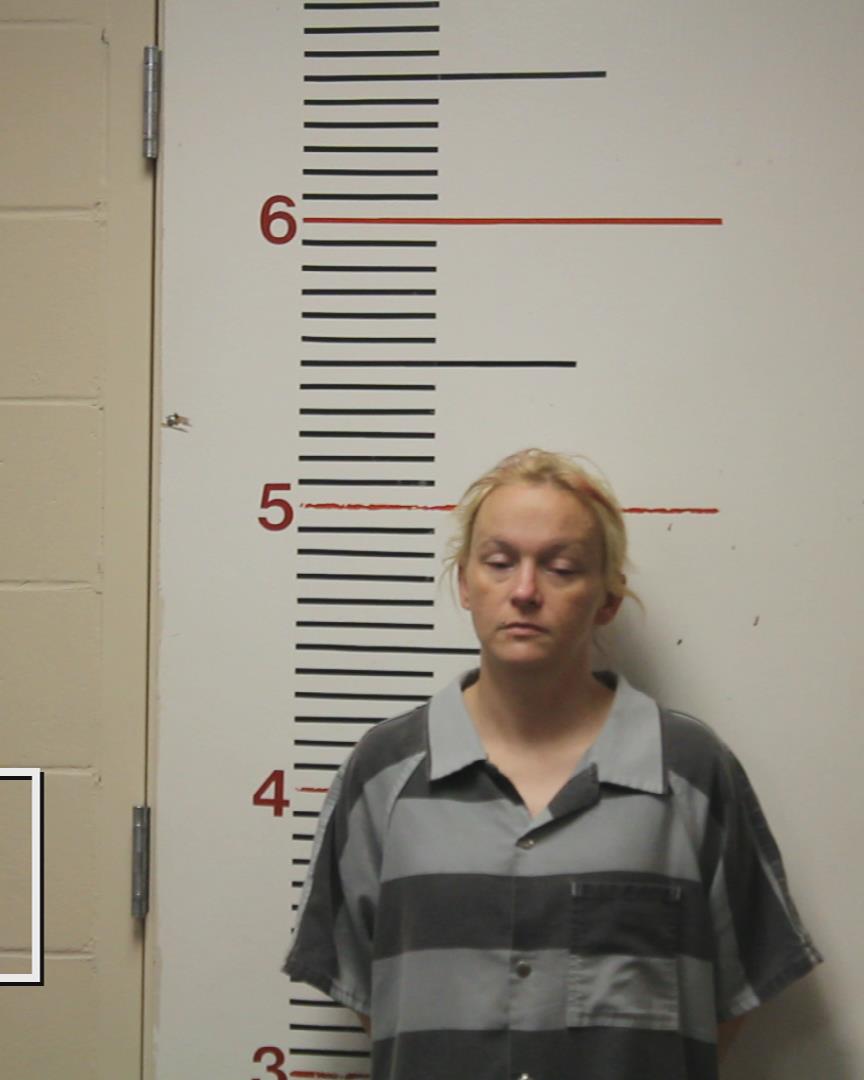 BURNS, SHONDA CHRISTINA booking photo