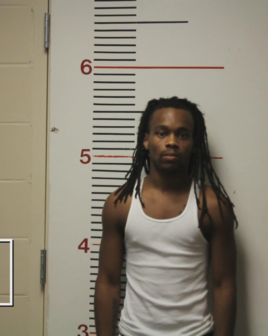 JOHNSON, DECOURTRICE DESHAWN booking photo