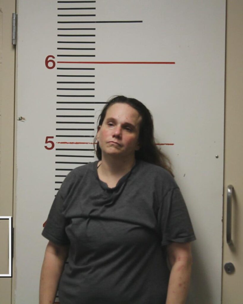 RHYNE, KRISTY MICHELLE booking photo