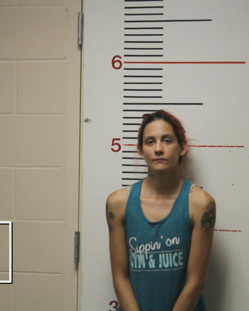 JONES, VALERIE ROSE booking photo