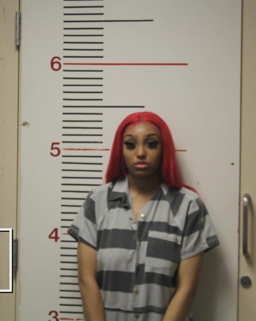 WILLIAMS, EBONY NICOLE booking photo