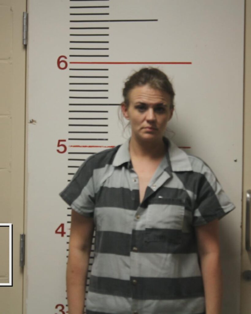 BISHOP, HOLLY NICOLE booking photo