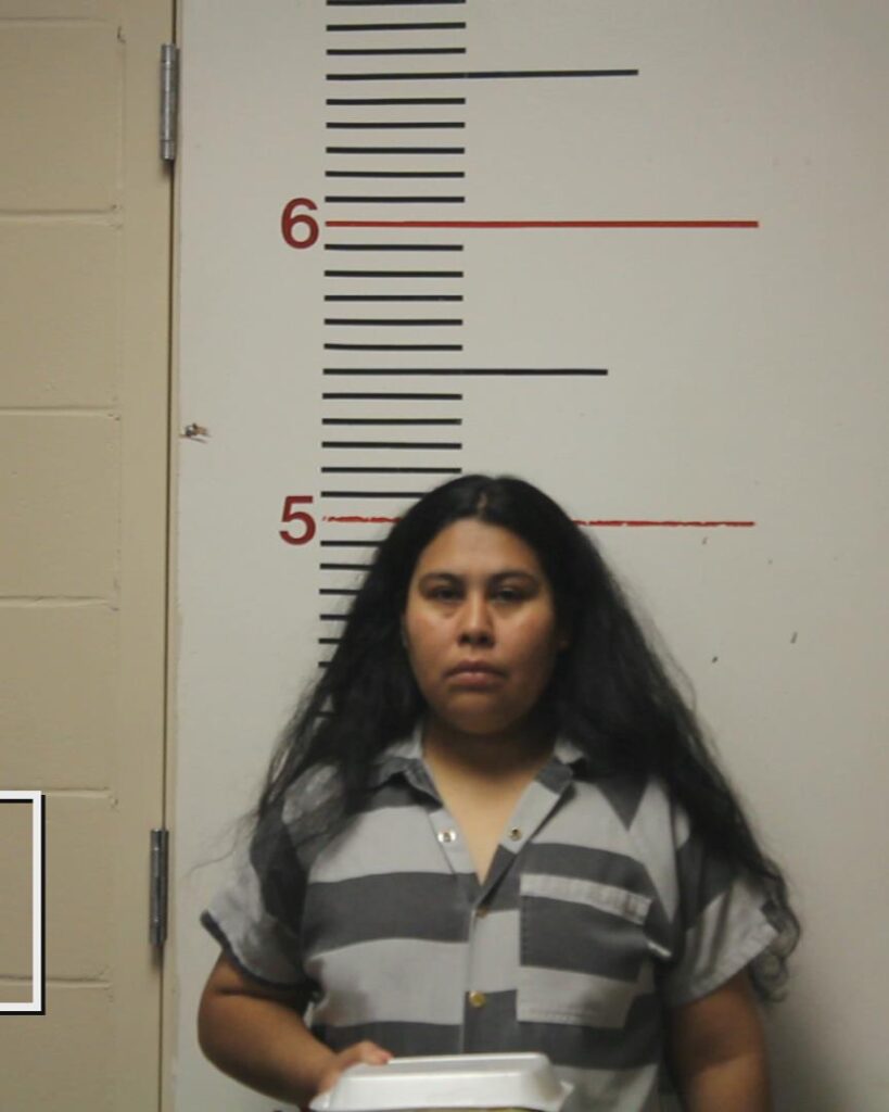 DELEON, BLANCA ICELA booking photo