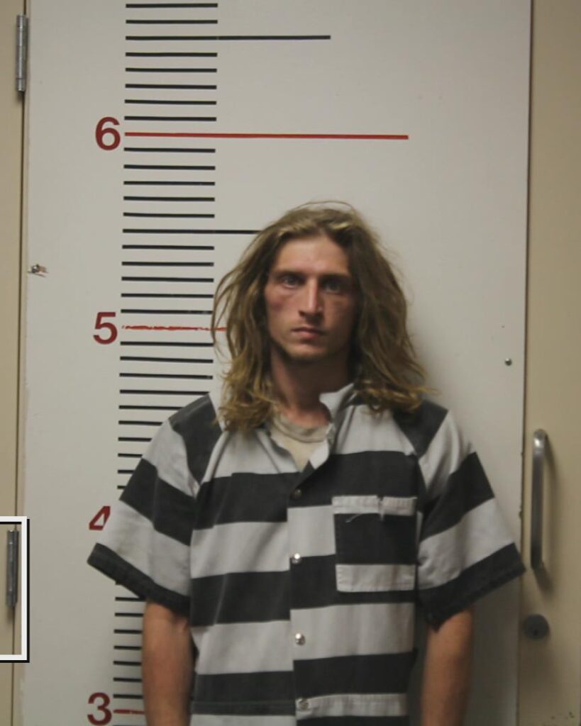 RICHARDSON, TRACY ALLEN booking photo