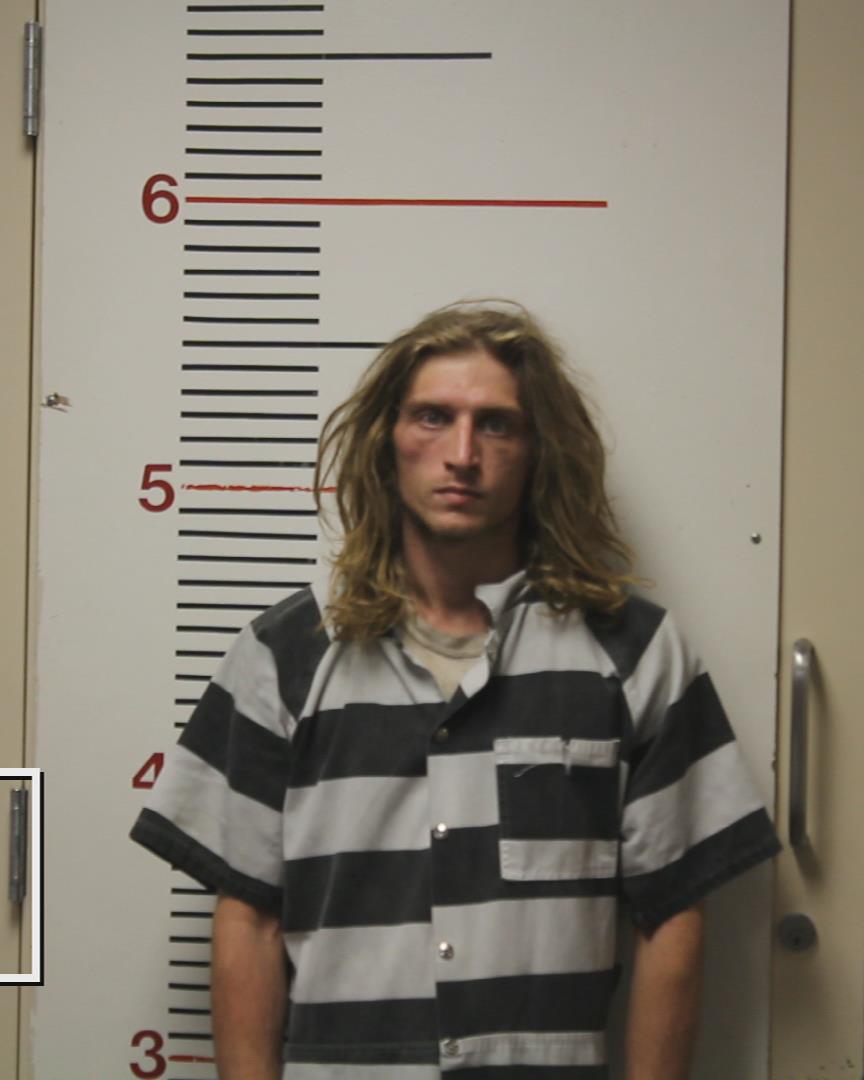 RICHARDSON, TRACY ALLEN booking photo