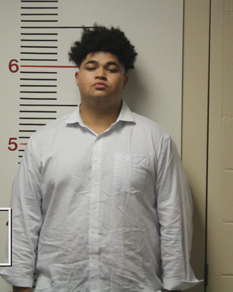 ODIAKA, JOSHUA G booking photo