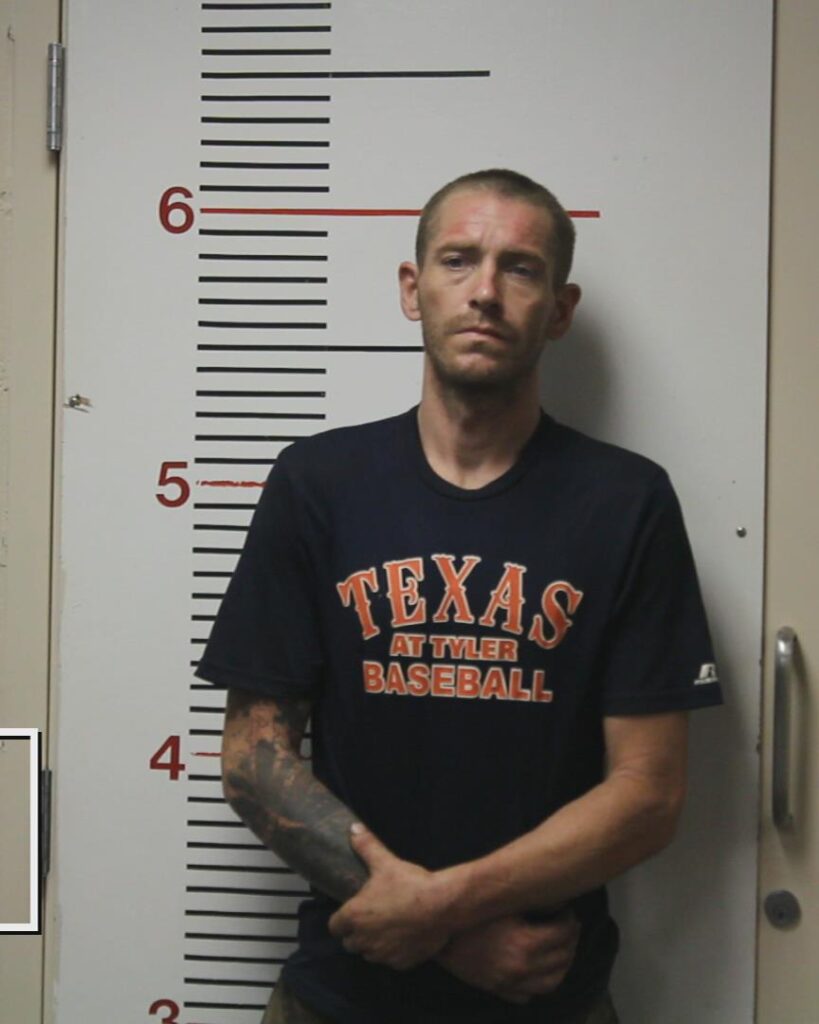 RICHARDSON, JAMES MICHEAL booking photo