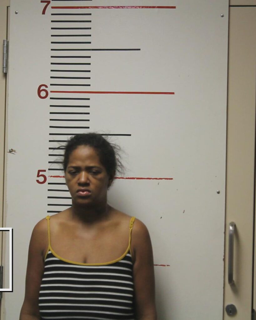 PIPKIN, NATALIE NICOLE booking photo