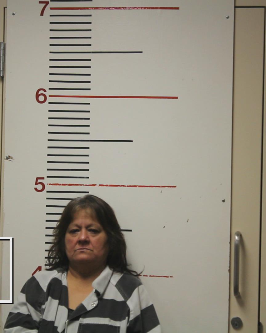 TORRES, ROSARIO booking photo