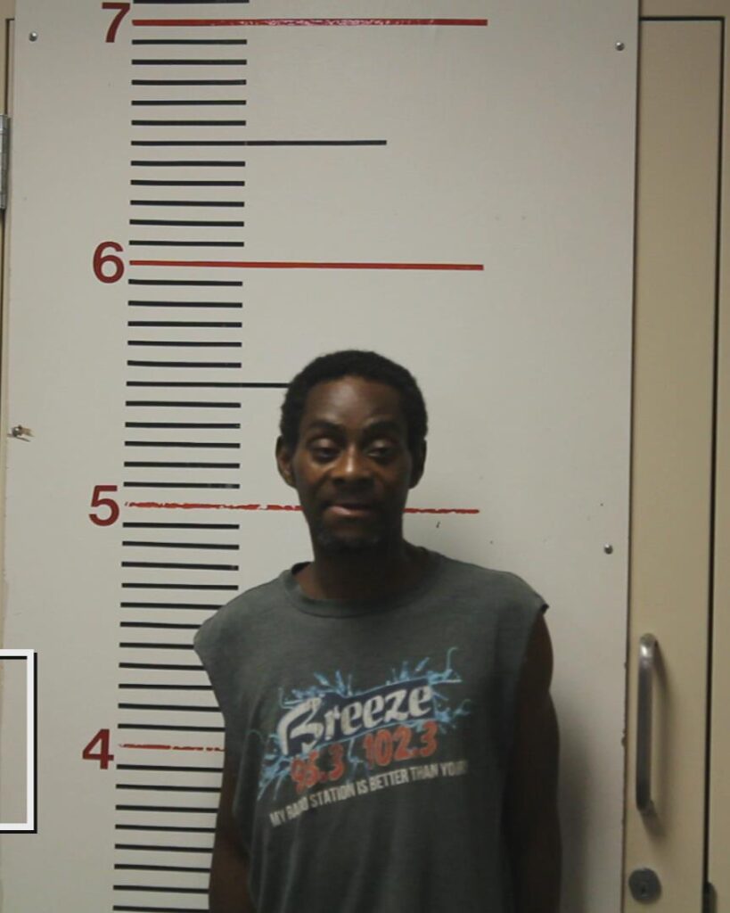 DAVIS, SHANON DEWAYNE booking photo