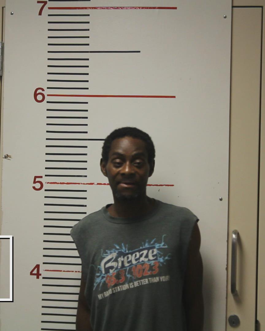 DAVIS, SHANON DEWAYNE booking photo