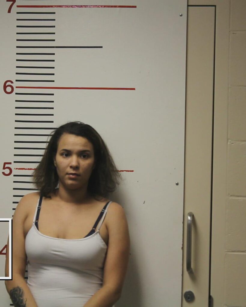 OWENS, ASHLEY NICOLE booking photo