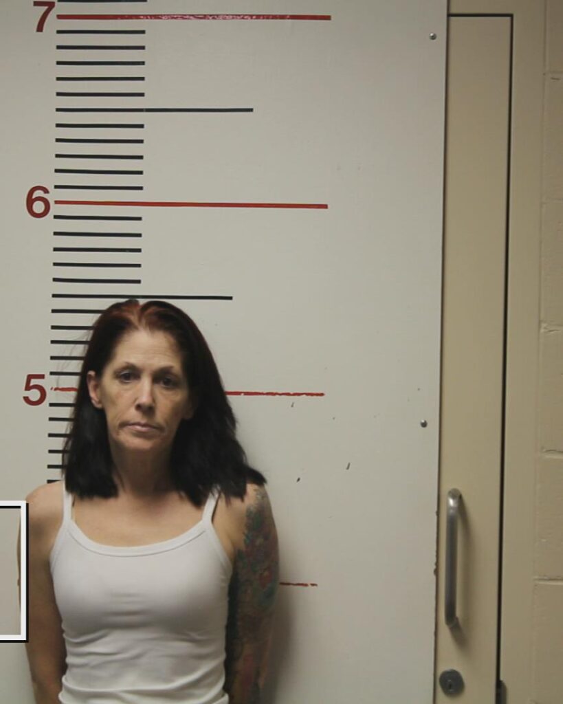 DAVIS, JULIE MARVAN booking photo
