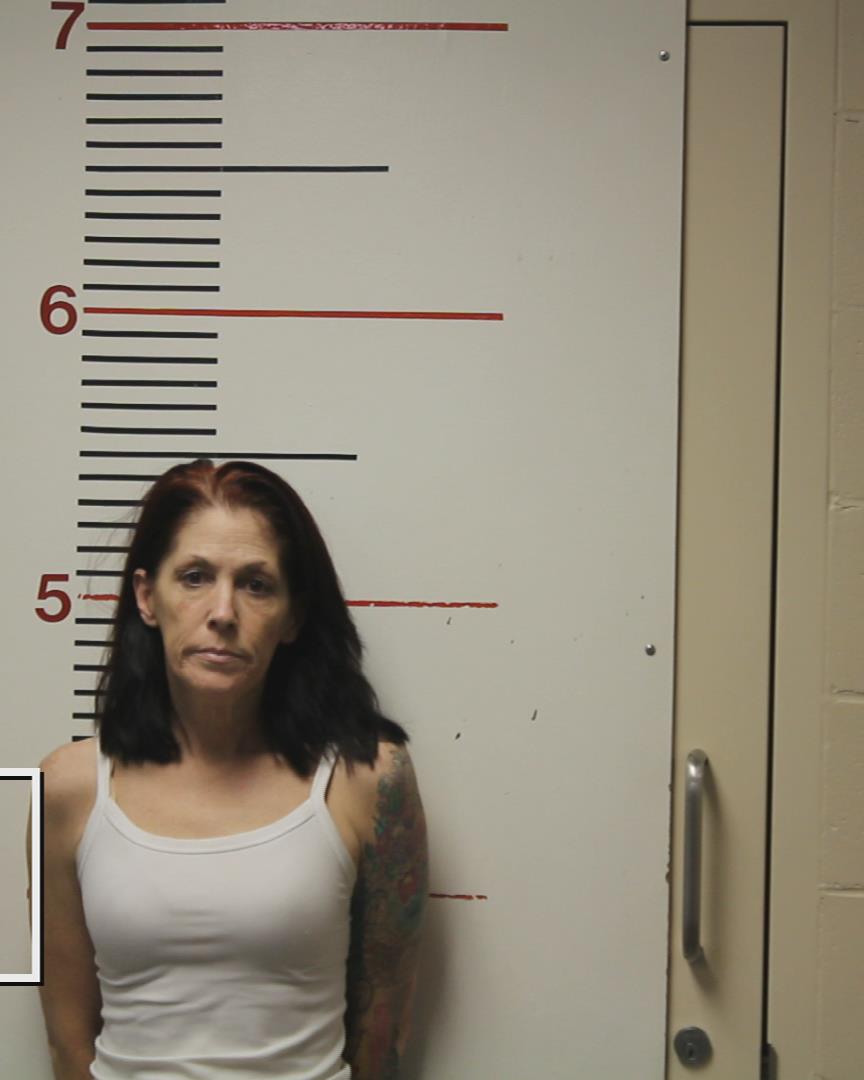 DAVIS, JULIE MARVAN booking photo