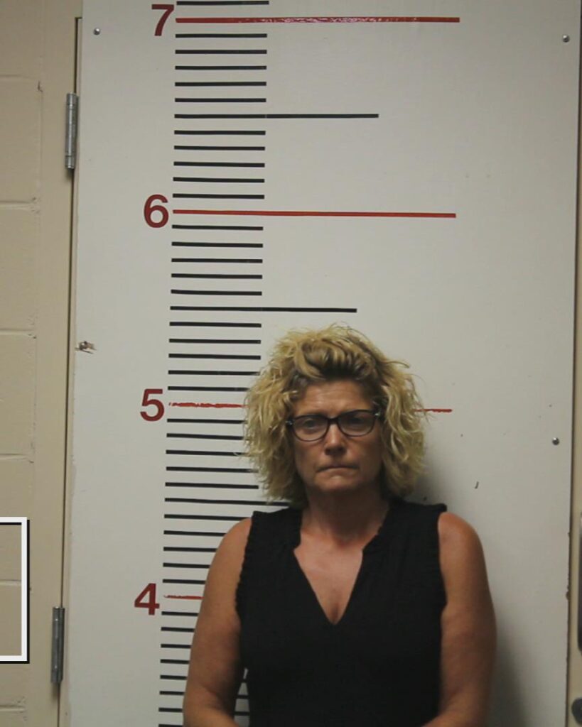 HAYS, ERIN ELIZABETH booking photo