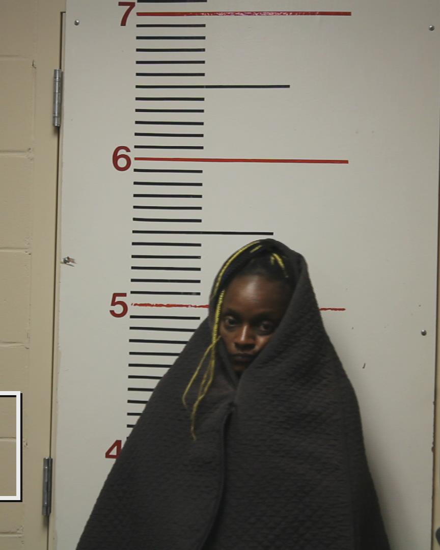 THOMPSON, AMANDA NICOLE booking photo