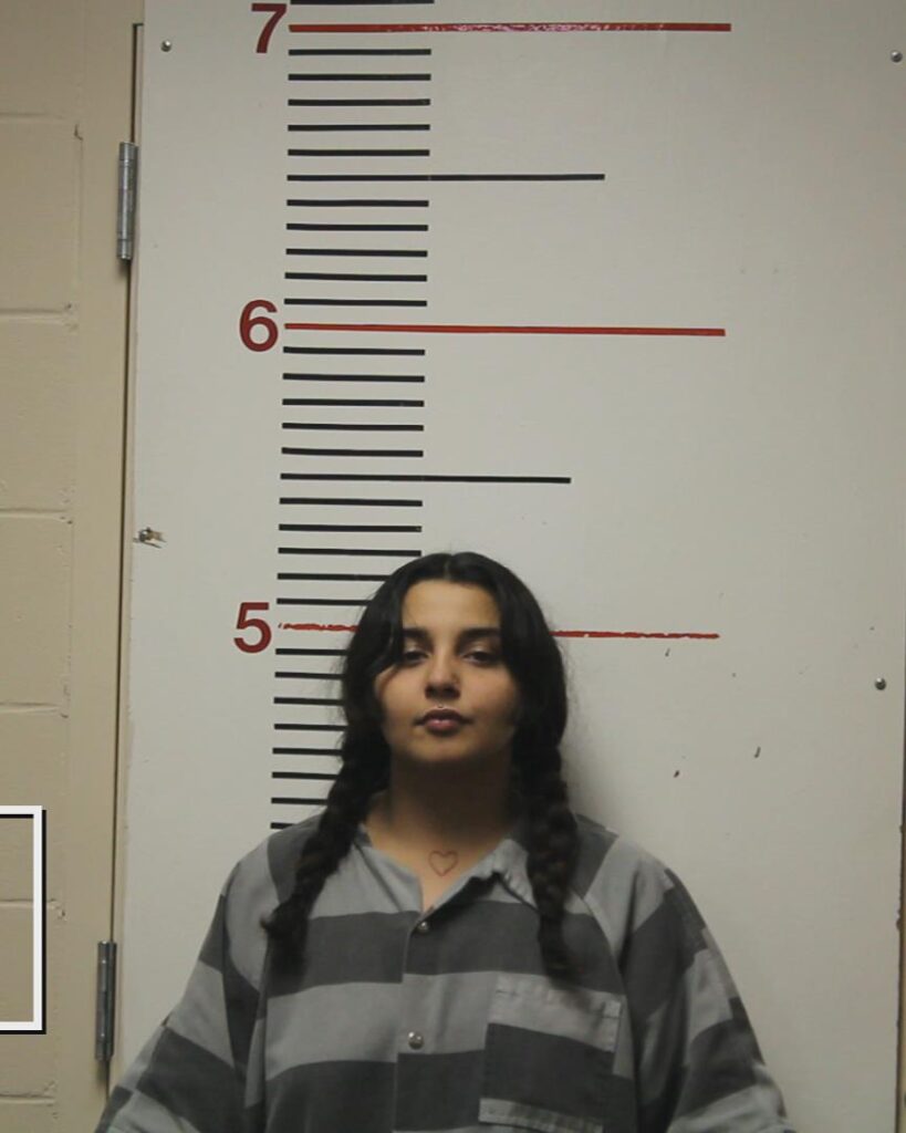 LOPEZ, NEOMI ALEJANDRA booking photo