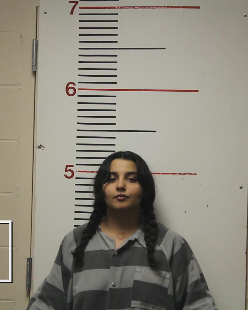 LOPEZ, NEOMI ALEJANDRA booking photo
