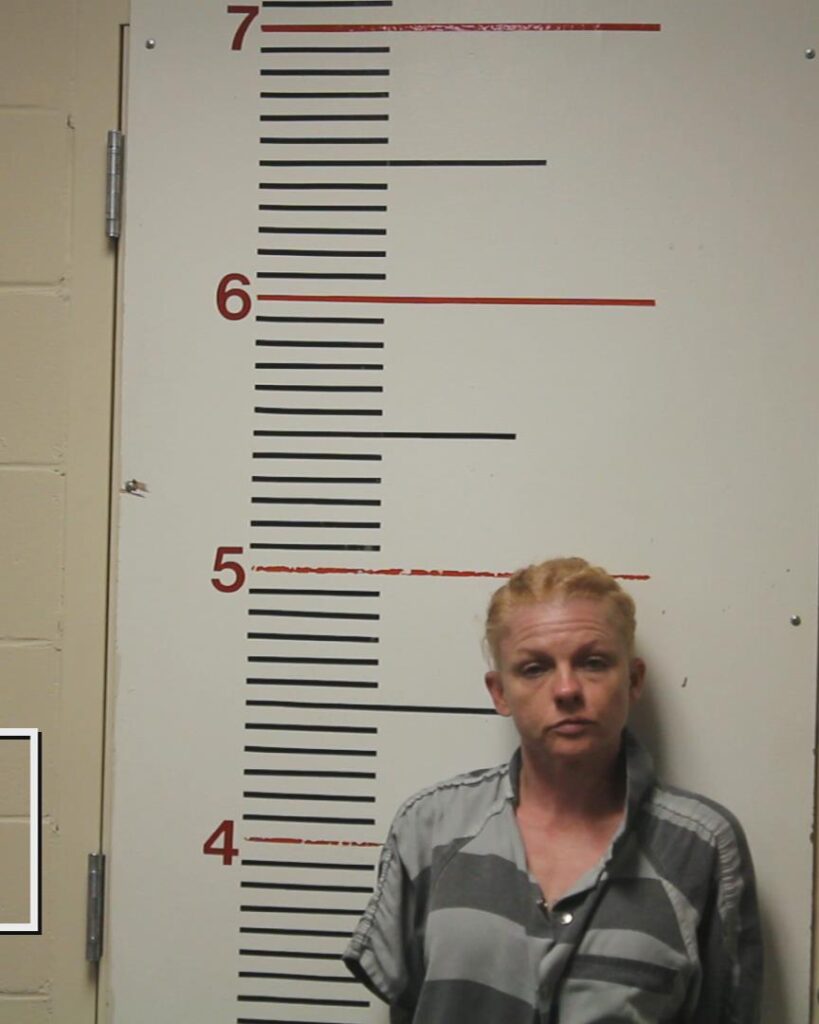 GOLDMAN, KATHRYN ANNETTE booking photo