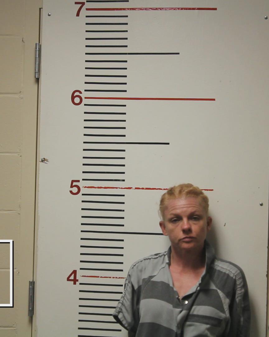 GOLDMAN, KATHRYN ANNETTE booking photo