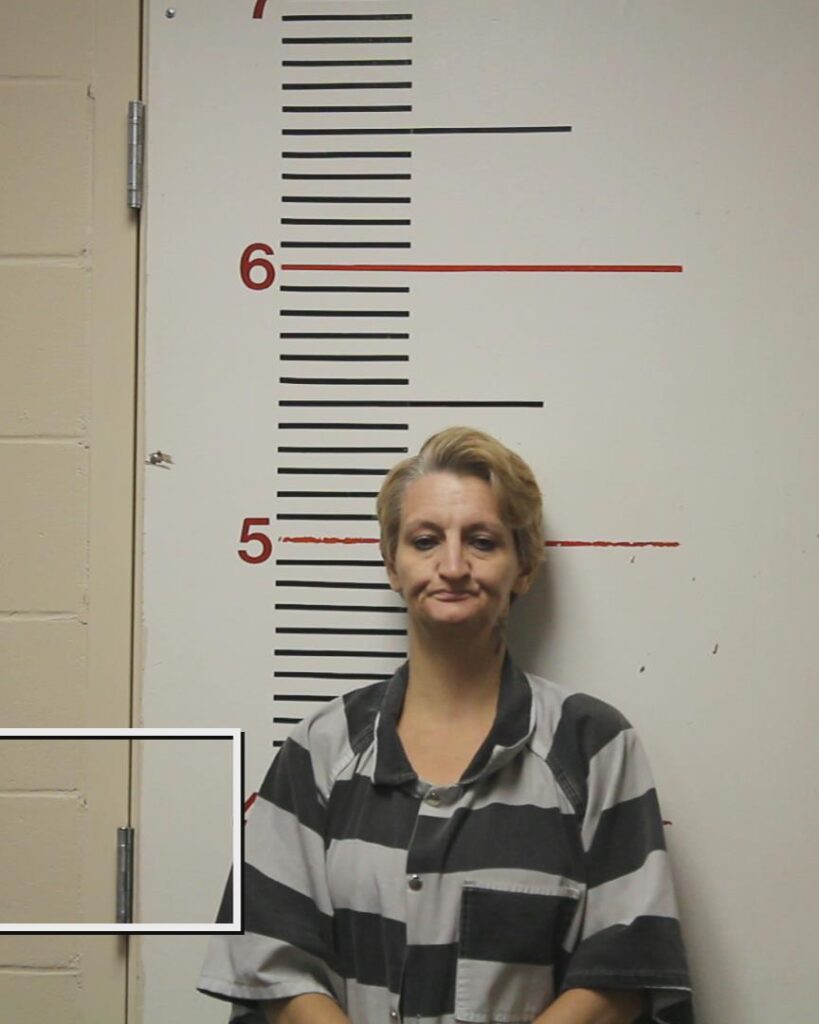 YOUNG, WYNIECE MICHELLE booking photo