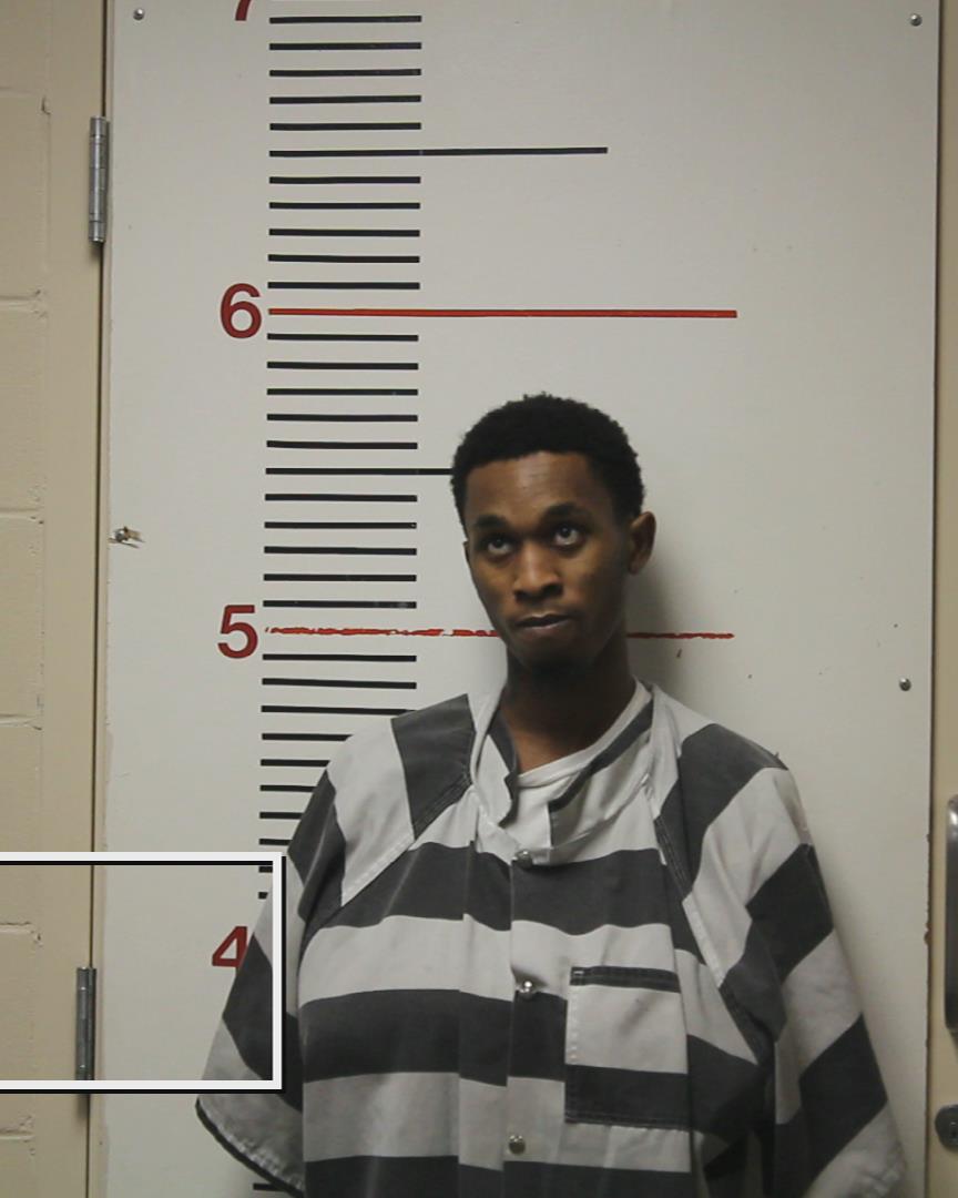 DAVIS, MANTEE, II booking photo