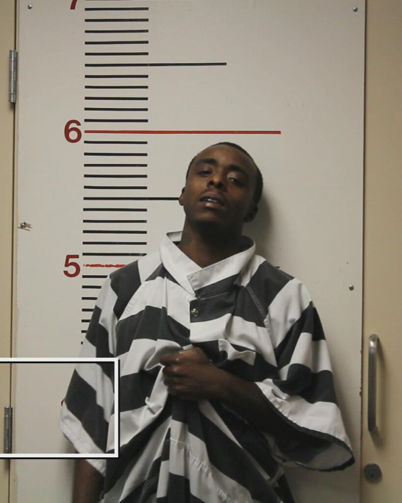 RICHARDSON, DONDRICK JAMES booking photo