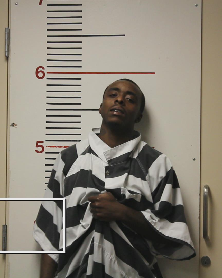 RICHARDSON, DONDRICK JAMES booking photo