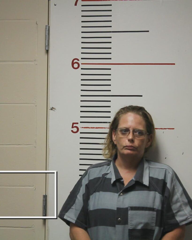 Ring, Cristal Lee booking photo