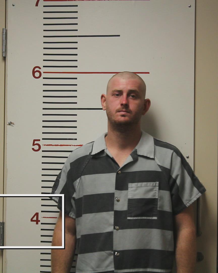 NICHOLSON, TROY DOUGLAS booking photo