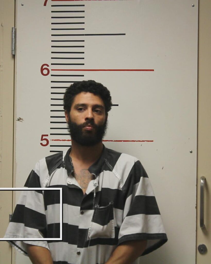 BOWMAN, JOSHUA WILLIAM booking photo