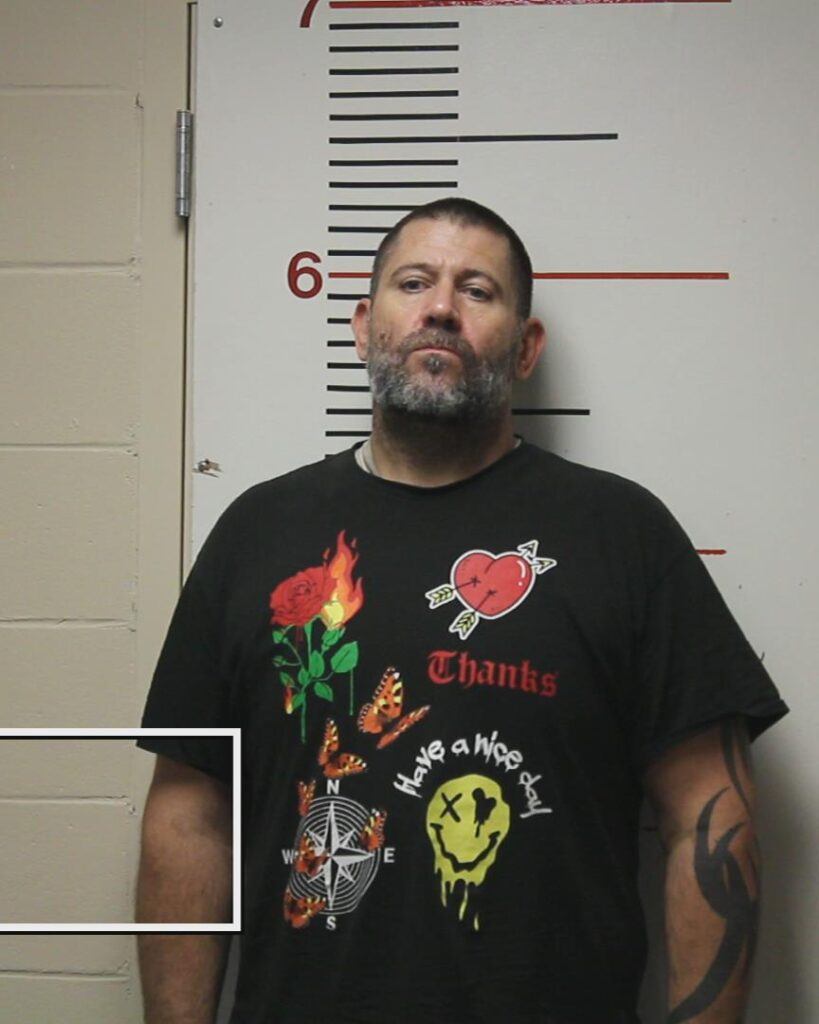 ANDREWS, LESLIE SHAWN booking photo