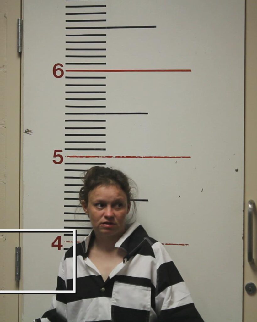 Alton, Debra booking photo