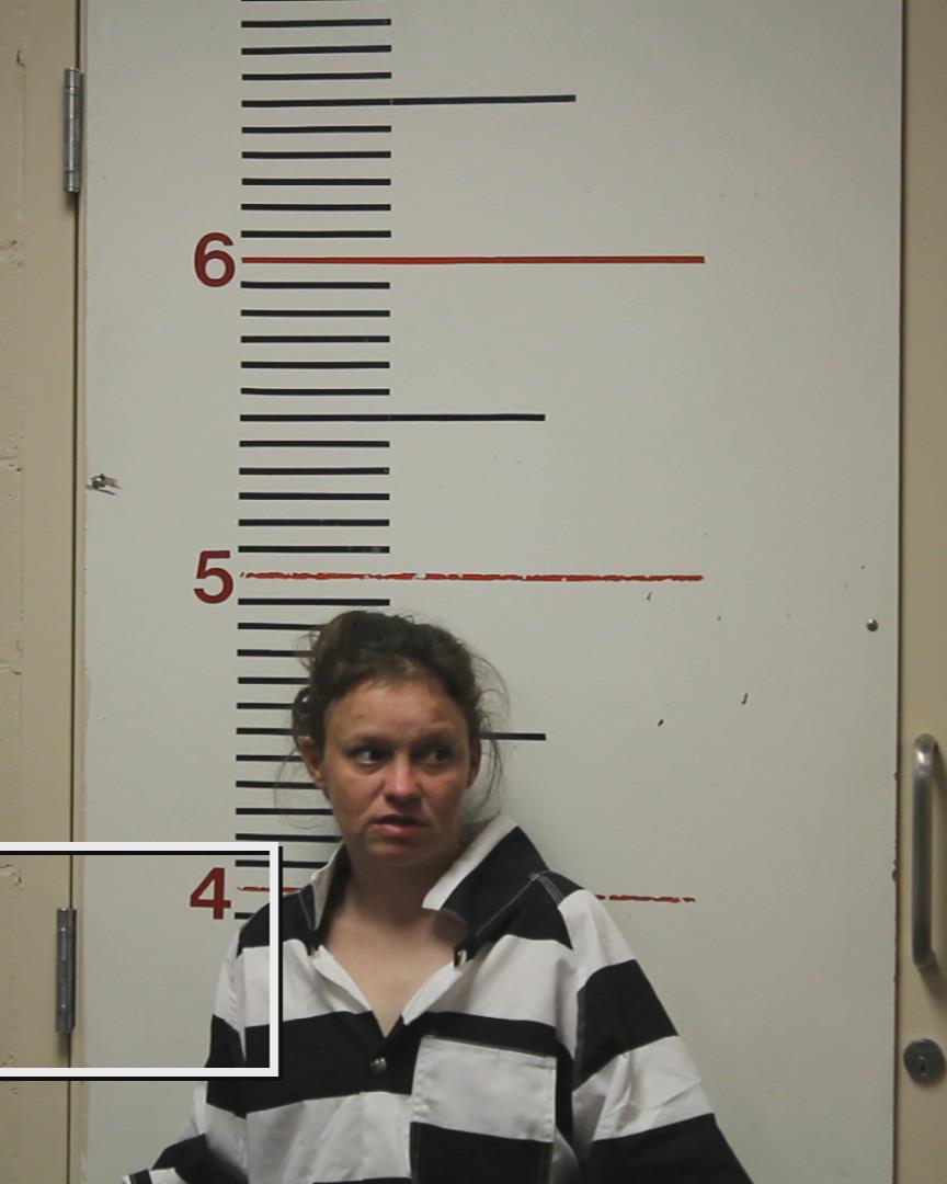 Alton, Debra booking photo