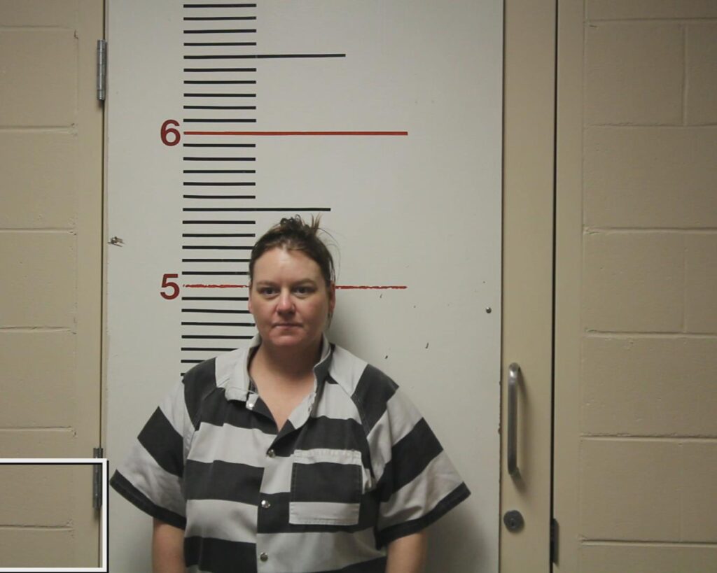 Vincent, Amye Lynn booking photo