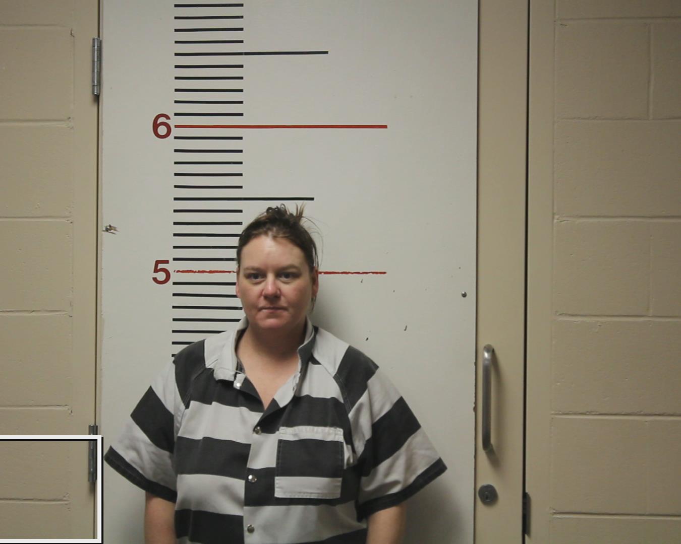 Vincent, Amye Lynn booking photo